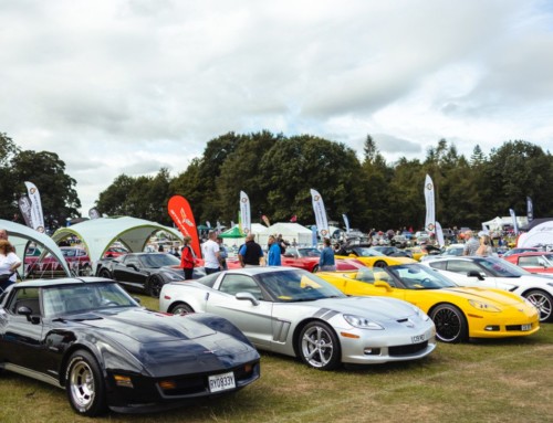 THE COUNTDOWN IS ON! JOIN US AT TATTON PARK, AUGUST 19-20